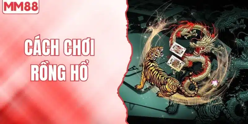 Cách Chơi Rồng Hổ Tại MM88 Hiệu Quả Cho Người Mới Bắt Đầu 1 Cách chơi rồng hổ tại MM88